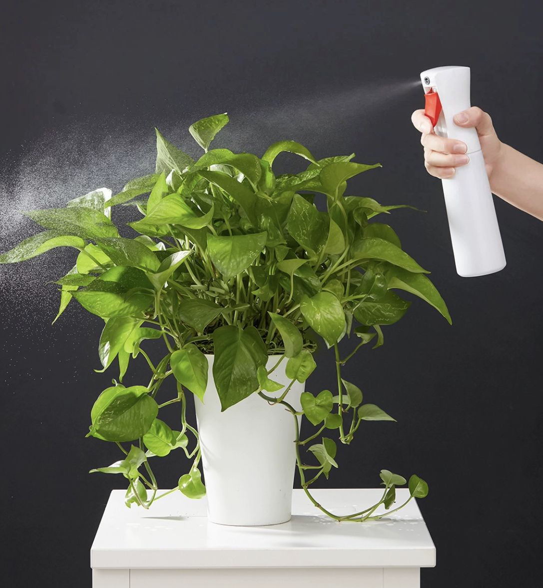 butelka-z-atomizerem-rozpylacz-spryskiwacz-xiaomi-yijie-yg-01-300mlbc63c5afe36b403bbfaf3240fcb20427