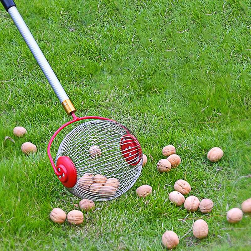 zbierak-do-owocow-i-orzechow-duzy32b3799b13454e92ba660d70c0c19c96